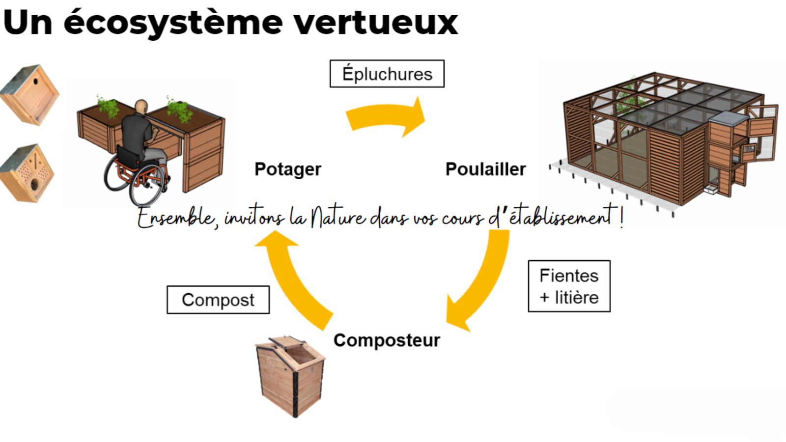 Écosystème vertueux
