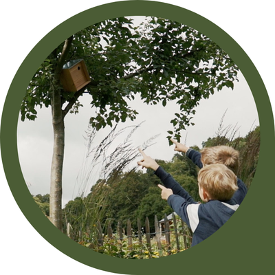 Installation d'un nichoir en ville
