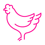 1 médiation animale