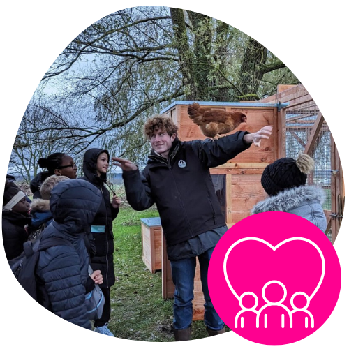 Installation d'un nichoir en ville