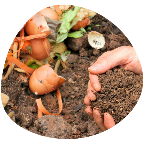 Animation compostage compost