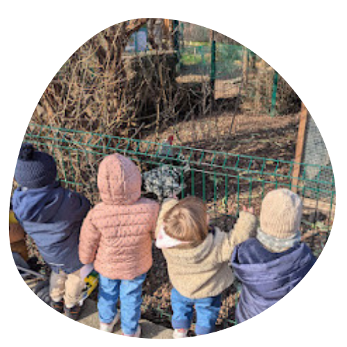 Potager collectif Naturarium