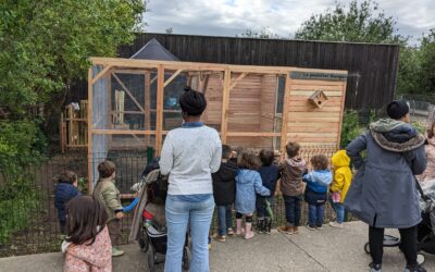 St-Ouen-sur-Seine : un poulailler collectif au cœur de la ville pour reconnecter les habitants à la nature