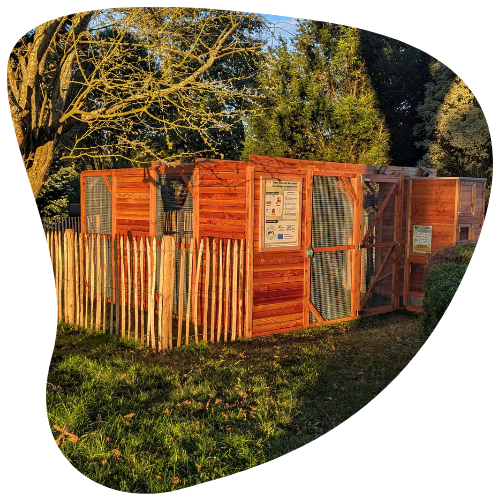 Poulailler collectif en bois fabriqué en France animation poulailler EHPAD