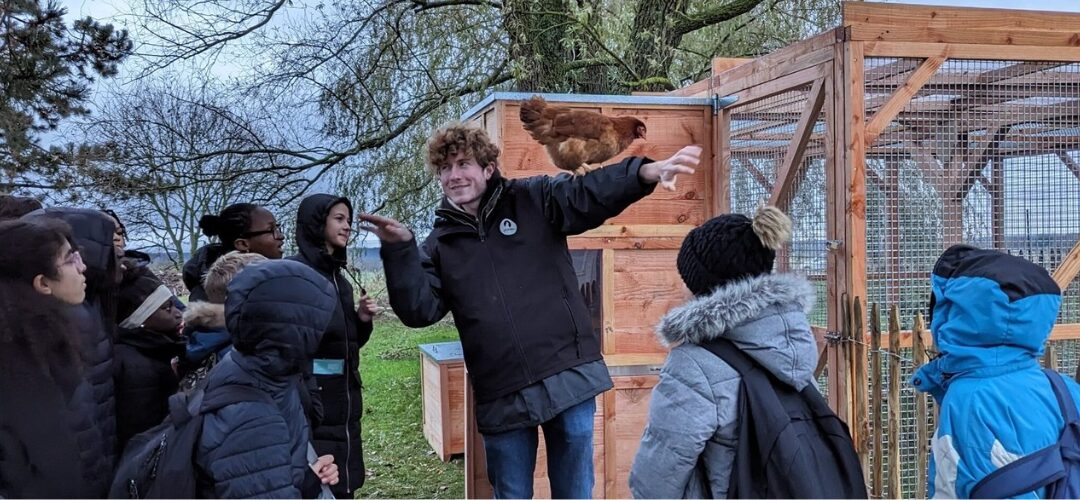 Collège du Blanc-Mesnil : pédagogie et sensibilisation à la nature par l’expérience