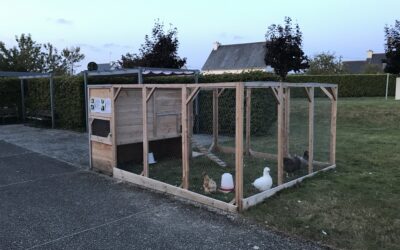 EHPAD de Pordic : un poulailler pour la médiation animale et le lien entre générations