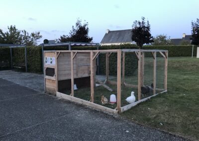 EHPAD de Pordic : un poulailler pour la médiation animale et le lien entre générations