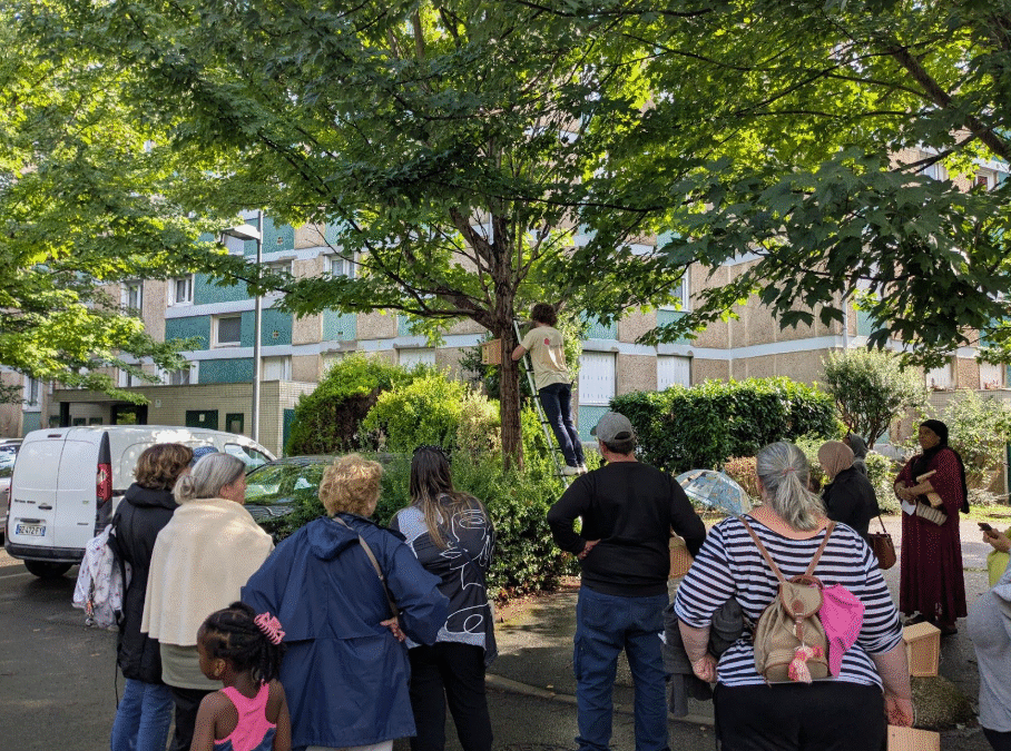 Valophis : créer du lien social et valoriser la nature en quartier prioritaire avec un poulailler partagé