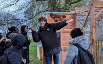 Collège du Blanc-Mesnil : pédagogie et sensibilisation à la nature par l’expérience