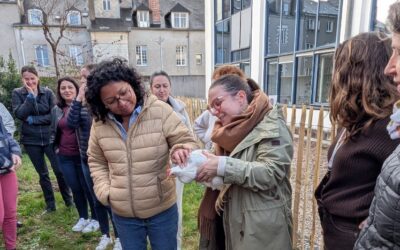 Un poulailler expérimental au cœur du siège de Thierry Immobilier