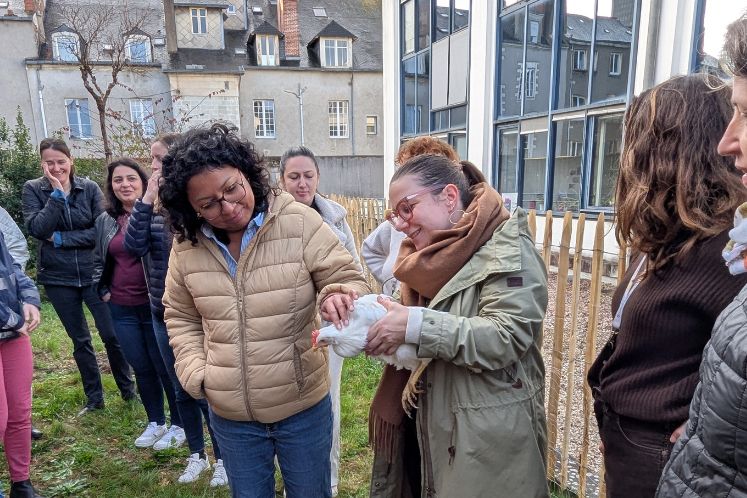 Un poulailler expérimental au cœur du siège de Thierry Immobilier