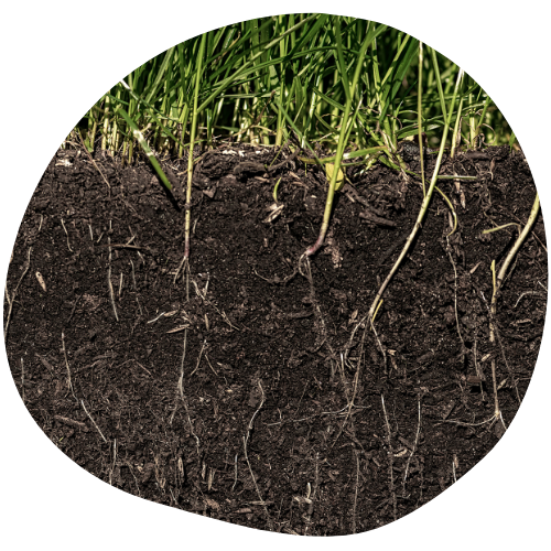 Etude des sols amont