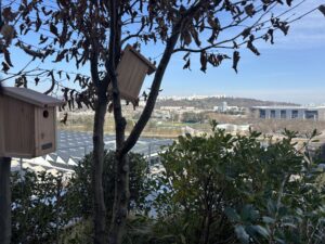 Crédit Agricole Loire Haute Loire : recréer des habitats pour la biodiversité locale 