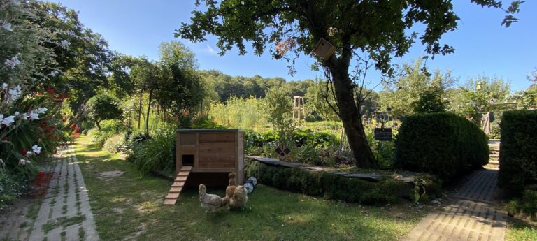 Jardin_potager_poulailler_©Naturarium2026