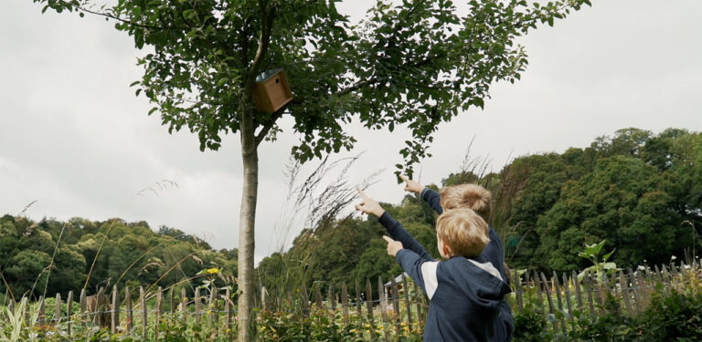 Oiseaux_biodiversité_enfants_©Naturarium2026
